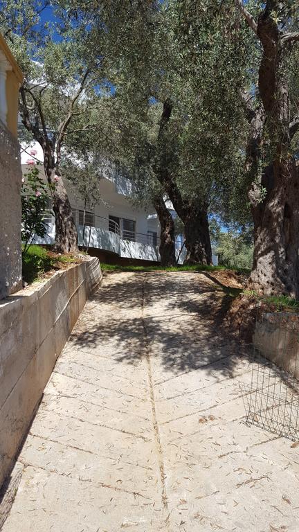 Apartments Sirena Ulcinj Zewnętrze zdjęcie